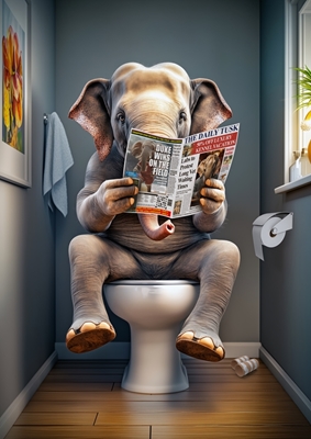 Éléphant sur les toilettes