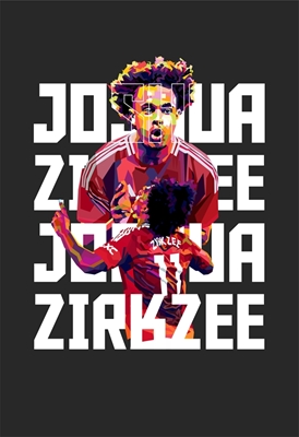 Joshua Zirkzee WPAP