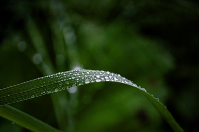 Nach dem Regen