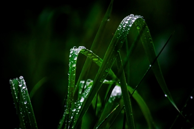 Nach dem Regen am 1.