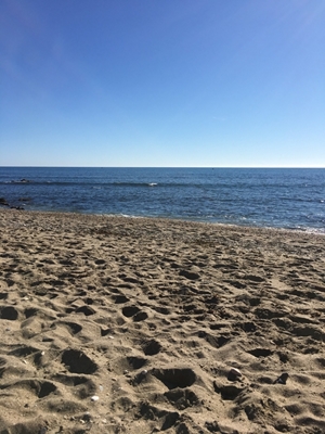 En ettermiddag på stranden