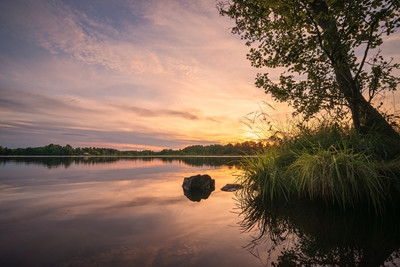 Scandinavische natuur