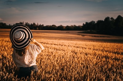 Pôr do sol nos campos de trigo