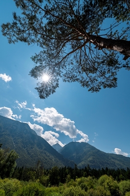 La nature à l’état pur