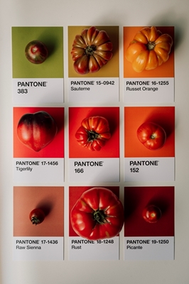 Pomodori Pantone