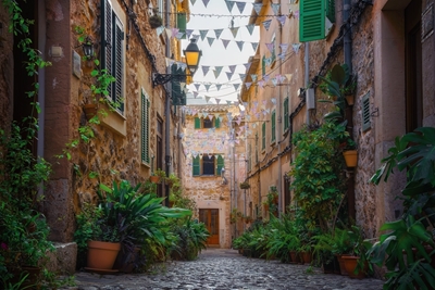 Calle de la planta de Valldemossa