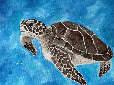 Tortue solitaire