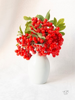 Vogelbeeren in der Vase 