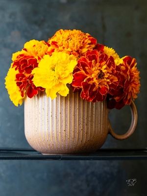 Marigolds in a cup 