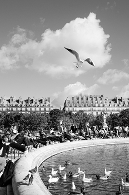 Vida tranquila no parque em Paris