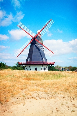 Deense molen in de duinen