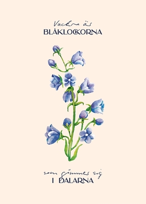 Blåklockorna