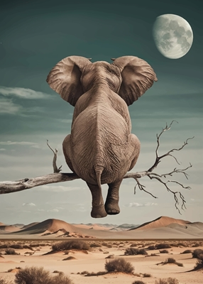 Elefant und Mond