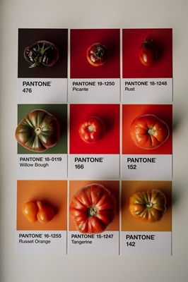 Pantone Tomaten Vol. 2