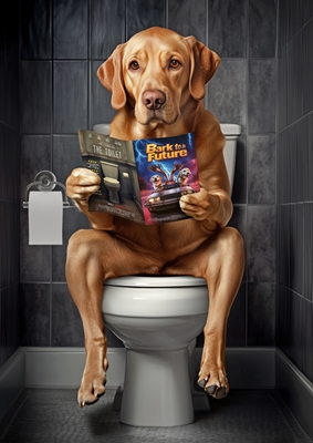 Renard Labrador rouge sur les toilettes