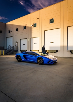 McLaren P1