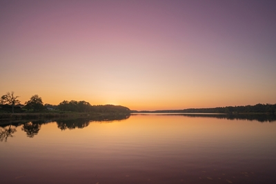 Golden Horizon