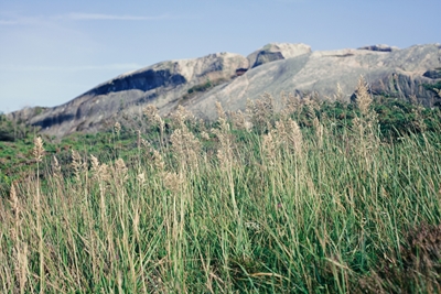 Mountains and straw