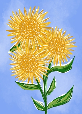 Gelbe Sonnenblumen