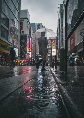 Neon lights in rainy Tokyo