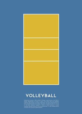 Volleyboll