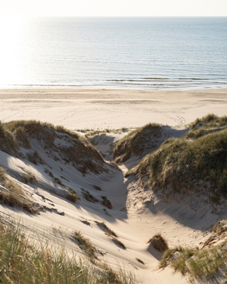 Kusten van Denemarken | Landschap