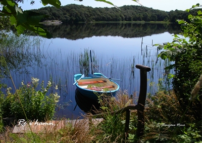 Paix au port