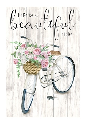 Life is a Beautiful Ride Art