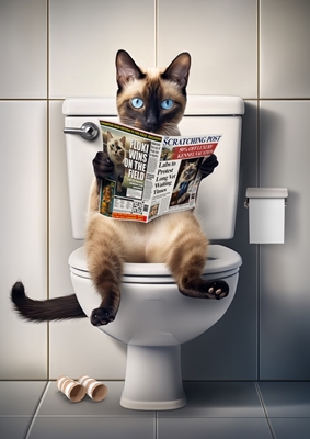 Chat siamois sur les toilettes