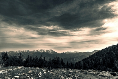 Uno sguardo sulla natura