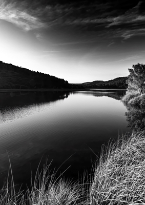 Scènes de rivière tranquilles