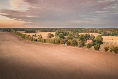  Goldene Stunde über dem rollenden Feld