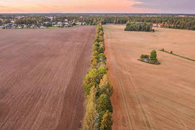 Sunset Horizon Over Dual Field