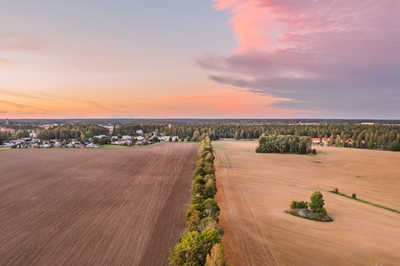 Solnedgang Horisont 