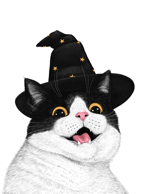 Halloween cat