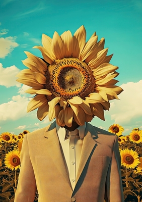 Man of Sunflowers