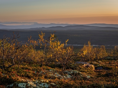 Auringonnousu Fulufjälletin yllä