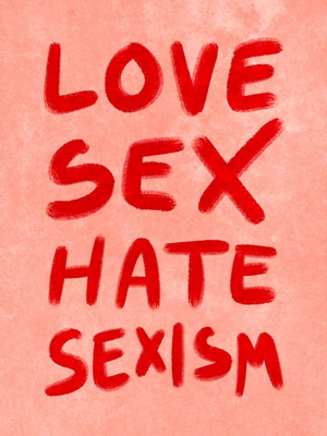 Love Sex, hate sexism