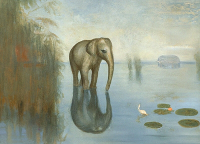 En elefant i en sø