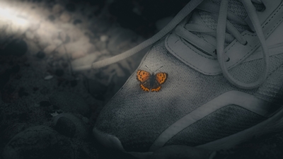 Butterfly on shoe