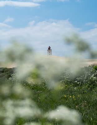 Fyr bland sanddyner I Danmark