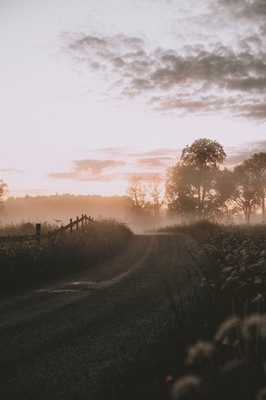 Le Songe d’une nuit d’été