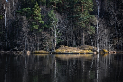 Journée de printemps au bord d’un lac