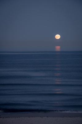 Full moon over the sea