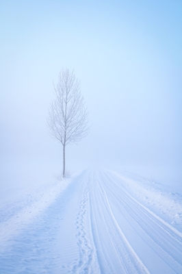 Vinter