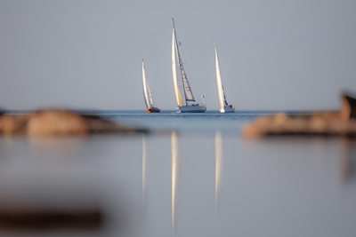 Three sailingboats