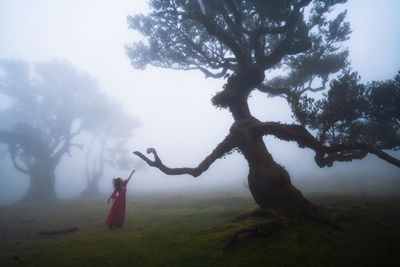 Arbre ou créature ressemblant à un arbre 