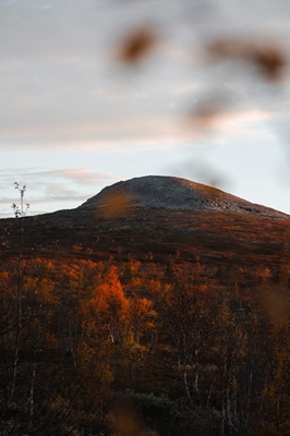 Fjäll i höstskrud