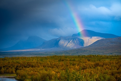 Regenbogen