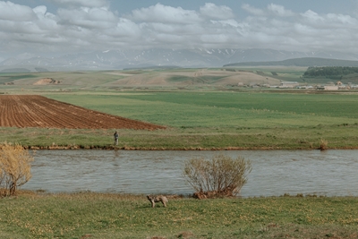 Le chien et le pêcheur